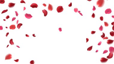 Gül yaprakları ya da uçan sakura yaprakları, gerçekçi pembe kiraz yapraklarının aktığı ya da düştüğü romantik bir arka plan. Aşk, romantizm, çiçek bahar mevsimi