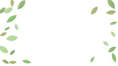  Geriye Taze Vektör Beyaz Arkaplan Şubesi kalıyor. Gerçekçi Yaprak Bitkisi. Yeşil Yaprak Soyut Duvar Kağıdı. Yeşiller organik, yeşil uçan yapraklar, doğa da...