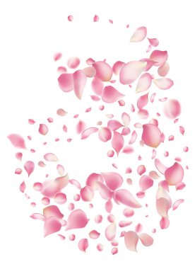 Pembe gül yaprakları soyut çiçek arkaplanına düşer. Muhteşem gül yapraklı tebrik kartı tasarımı, çiçek açan arka plan, kiraz çiçeği.