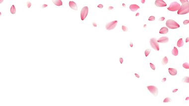 büyük ve küçük kiraz çiçekleri romantik arka plan gerçekçi pembe düşme hareketi