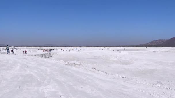 Jaipur India Circa 2023 Footage Panoramic View Snow Covered Field — Video