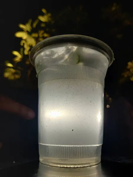 Кола Льдом Свежий Холодный Напиток Кубиками Льда Стакане Соломой Ночью — стоковое фото