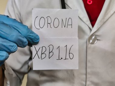 Beyaz önlük ve steteskoplu mavi eldivenli bir doktorun resmi üzerinde Corona XBB1.16 yazan bir levha tutuyor. Yeni Corona virüsü. Covid-19 enfeksiyonu