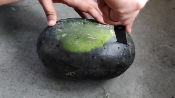 Filmagem Uma Pessoa Cortando Uma Fruta Melancia Cor Verde Com — Vídeo de Stock