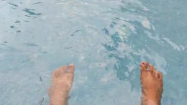 Sawai Madhopur, Hindistan 8 Haziran 2024: Yüzme havuzu, ağaçlar, gün ışığında çekilen sandalyeler. Mavi, havuzu yansıtan şehir mimarisi manzarası ortamı