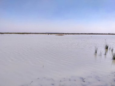 Akşamları nehrin üzerinde gün batımının resmi. Sambhar Gölü 'ndeki doğa manzarası