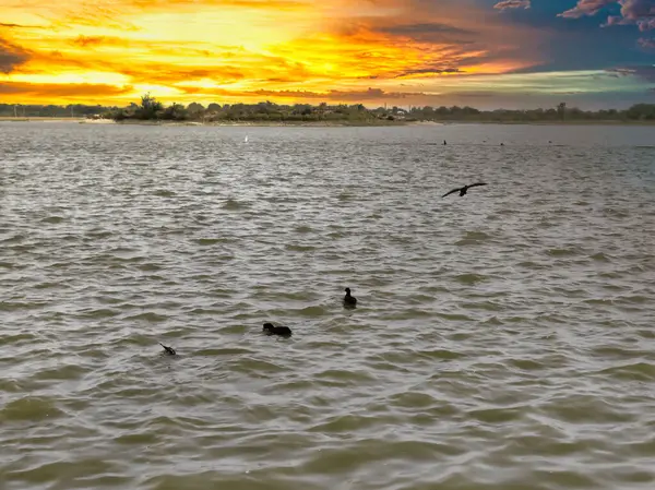 Bulutlu gökyüzü ile gölün üzerinde güzel bir günbatımı resmi. Doğa bileşimi.