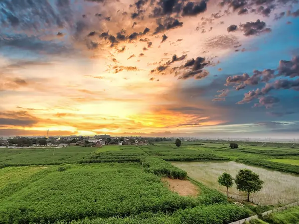 Kırsalda çekilen bir tarlada gün batımının güzel bir resmi.