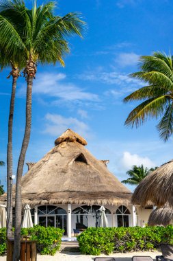 bonitas imagenes del caribe mexicano