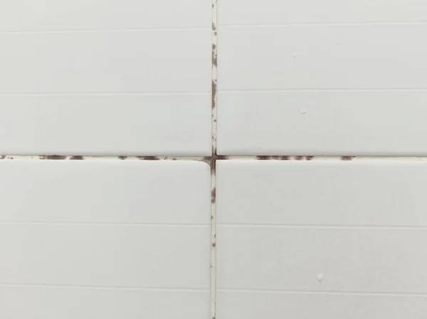 Banyodaki Kiremitler Kirlenmiş — Stok fotoğraf