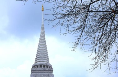 Beyaz pagoda arka planlı kış ağacı dalları