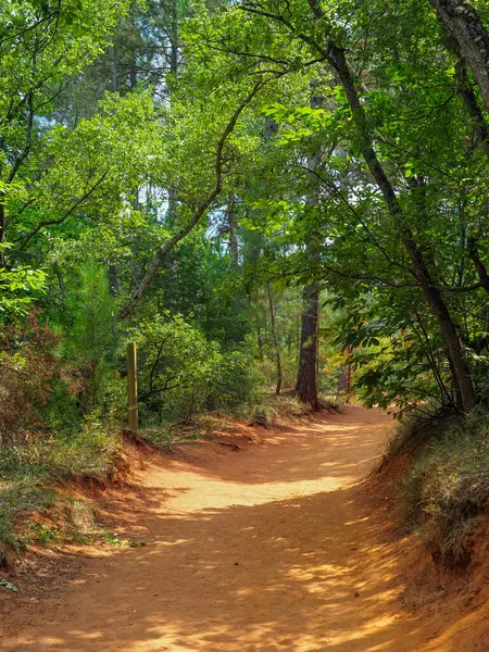 Rustrel, Fransa 'da güzel bir orman. Provence Colorado 'da. Muhteşem renkli bir vadi. Eski ocher madencilik ocaklarında sarı kumlu patikalı manzara. İnanılmaz manzara..