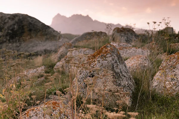 Spokojny Górski Krajobraz Dużymi Kamieniami Łące Zachodzie Słońca Lecie Kupa — Zdjęcie stockowe