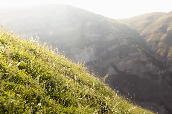 Яскравий Літній Гірський Пейзаж Схилом Зеленого Високогір Луг Крупним Планом — стокове фото