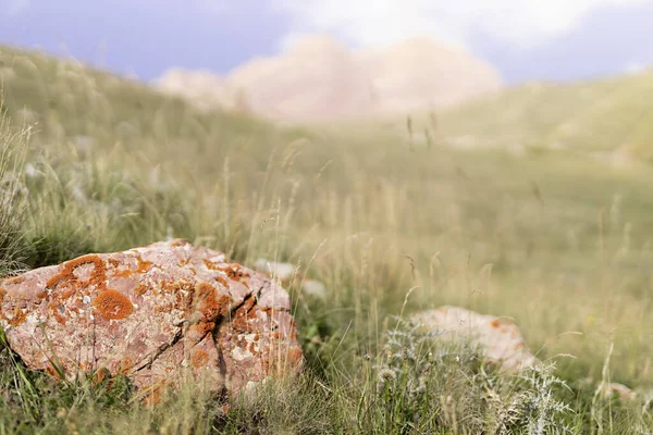 Рожевий Валун Апельсиновим Лишайником Гірській Долині Сушеній Траві Лугу Колосками — стокове фото