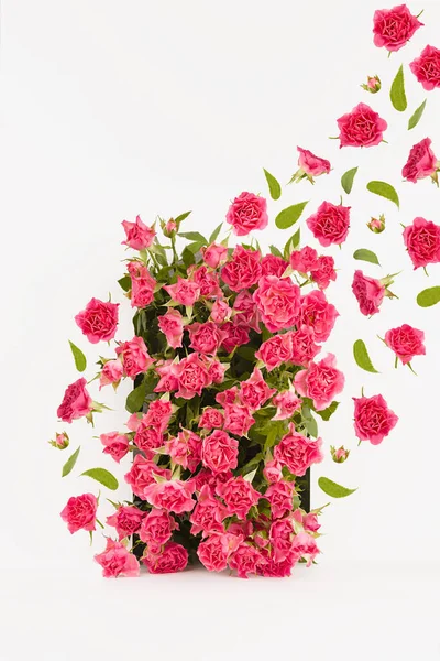 Summer pink spray roses as arch on white abstract scene mockup, soar stream of buds and green leaves, vertical. Template floral showcase for presentation of cosmetic, goods, advertising, design.