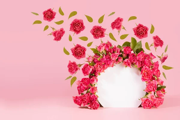 Summer pink spray roses as framing of round arch on pink abstract scene mockup, soar flow of buds and green leaves. Template floral showcase for presentation of cosmetic, goods, advertising, design.