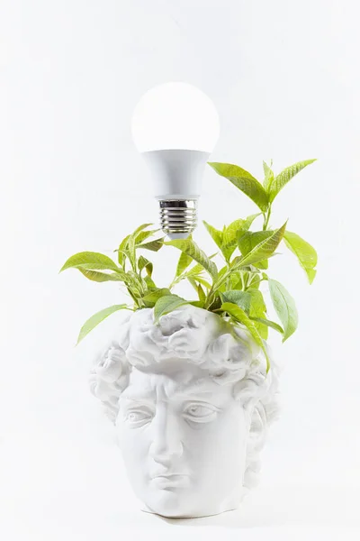Idea and brainstorming abstract concept with image of creativity process as glow light bulb and spring fresh wreath of green leaves as thoughts over head of white thinking statue David, vertical.