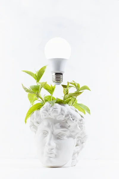 Brainstorming concept - fresh green wreath of leaves as thoughts and glow light bulb over head of white antique statue David in intense thinking and creativity process, vertical, copy space.