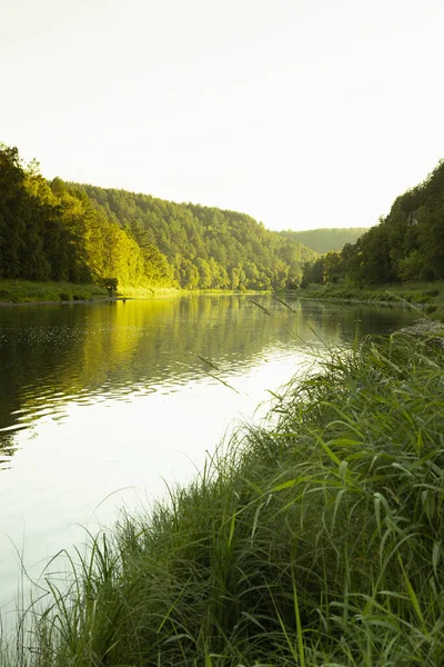 stock image Summer landscape with river in rocky canyon with lush green grass on meadow, coniferous forest in golden morning sunlight and  reflection in water, vertical. Beautiful wild nature and travel outdoors.