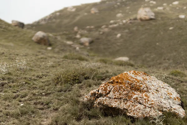 オレンジ色の地衣類 薄緑色の乾燥した草の斜面に分割し クローズアップで大きな灰色の粗い石は 山の中で鈍い夏の日を眉をひそめてぼかす 山の谷のテクスチャ — ストック写真