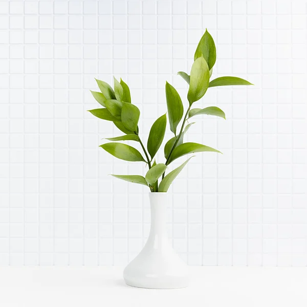 Elegante Interno Bianco Sole Estivo Con Ramo Verde Vaso Ceramica — Foto Stock