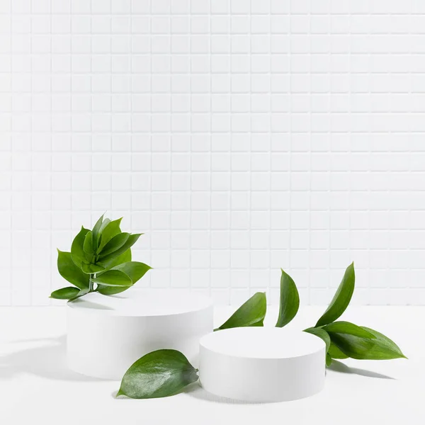 stock image Spring abstract white stage with two round podiums mockup for presentation cosmetic products, goods, advertising in interior, tiny mosaic tile, fresh tropical green leaves in sunbeam, shadow, square. 