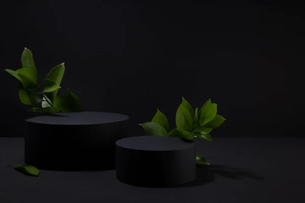 Escenario Abstracto Negro Con Dos Podios Círculo Maqueta Hojas Verdes Imagen De Stock