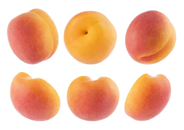 多汁的橙子杏仁 粉红的侧面丰富 整体和切割的一半 不同的侧面 孤立的白色背景 夏季新鲜天然水果作为设计元素 图库图片