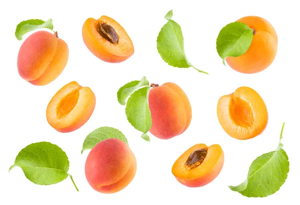 多汁的橙子杏仁 侧面为粉红色 叶型为绿色 背景为白色 半果飘飞 不同的侧面 夏季水果 广告的设计元素 图库图片