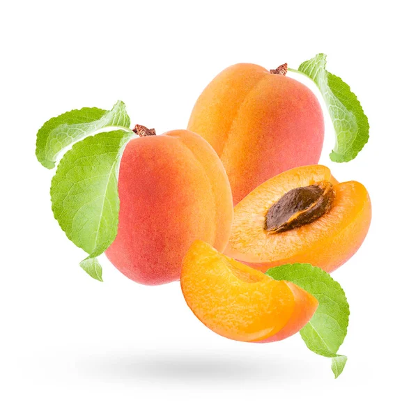 Juicy Orange Apricot Pink Side Green Leaves Closeup Fly Art — Stock Photo, Image