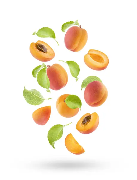 Fresh Orange Apricot Pink Side Green Leaves Flow Fly Fall — Stock Photo, Image