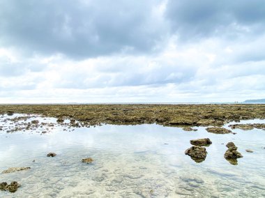 Denizin yüzeyi soyut desenlerden oluşan canlı bir tuvaldir. Dalgalar kayalık kıyıya çarpar ve doğanın sanatının nefes kesici bir duvar kağıdını oluşturur..