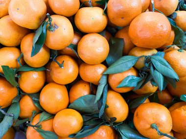 Arka planda yaprakları olan taze turuncu meyveler, yüksek kaliteli.