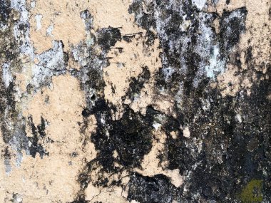 Beyaz arka planda alçı kaplamalı koyu beton doku..