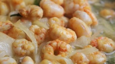 Kral karidesli körili balık. .