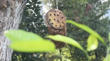  a bee hotel, Insect hotel on the tree ,