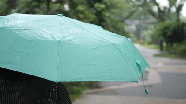 Kadınlar Yağmurda Şemsiye Altında — Stok video