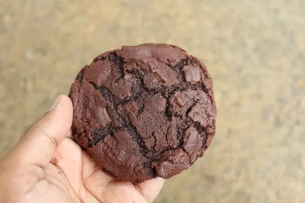 Κοντινό Πλάνο Κρατώντας Ένα Μπισκότο Σοκολάτας — Φωτογραφία Αρχείου