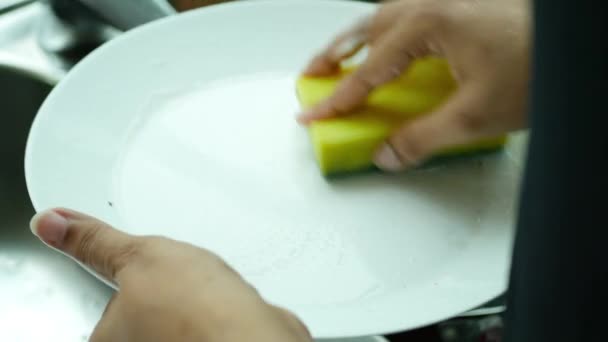 Mulheres Mão Limpeza Uma Placa Branca Com Esponja — Vídeo de Stock