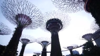 Singapur 10 Haziran 2022 gece körfez kenarındaki Gardens 'ta ışıklandırma. ,