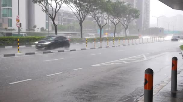 Zware Regenval Singapore Stad — Stockvideo