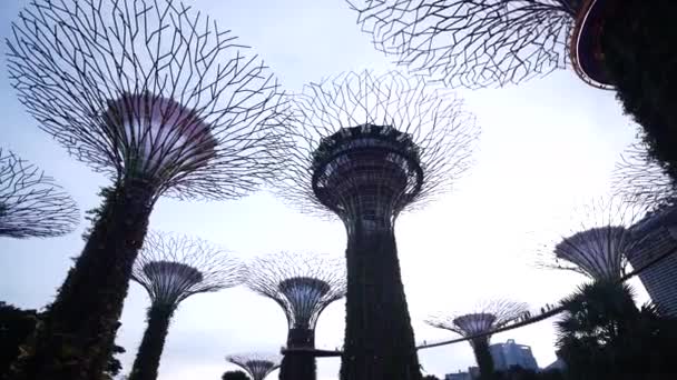 Singapore Juni 2022 Belysning Gardens Bay Natten — Stockvideo