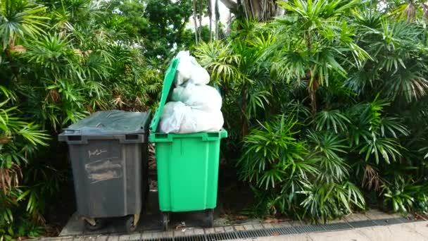 Bag Garbage Rubbish Bin — Vídeo de Stock
