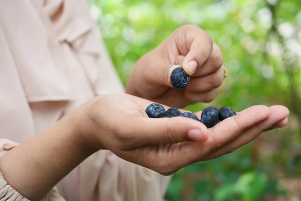 Mulheres Comendo Frutas Baga Azul Livre — Fotografia de Stock