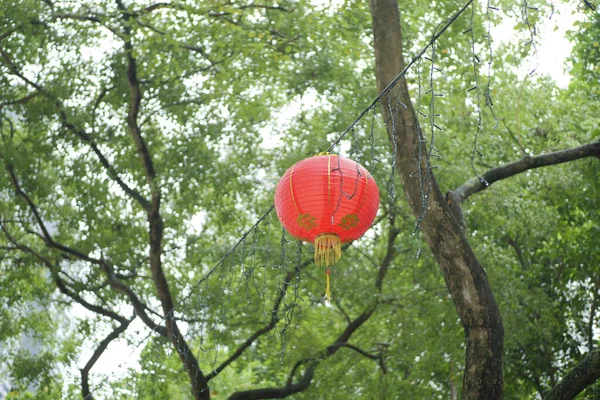 Lanterne Rouge Chinoise Nouvel Chinois — Photo