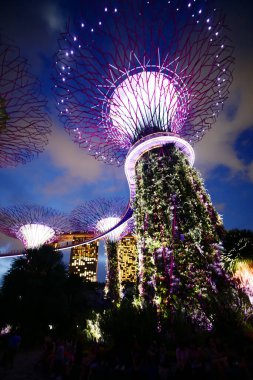 Singapur 10 Haziran 2022 gece körfez kenarındaki Gardens 'ta ışıklandırma. ,