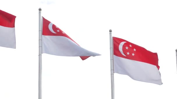 Singapore Flags Celebration National Day — стоковое видео