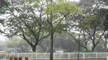 Singapur 'daki parkta yağmurlu bir gün ,