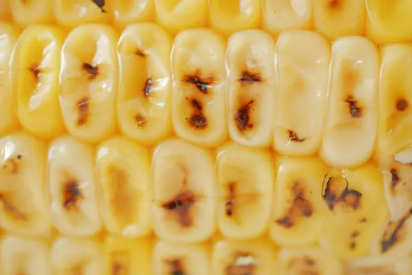 Édes Kukorica Fehér Háttér Közelről — Stock Fotó